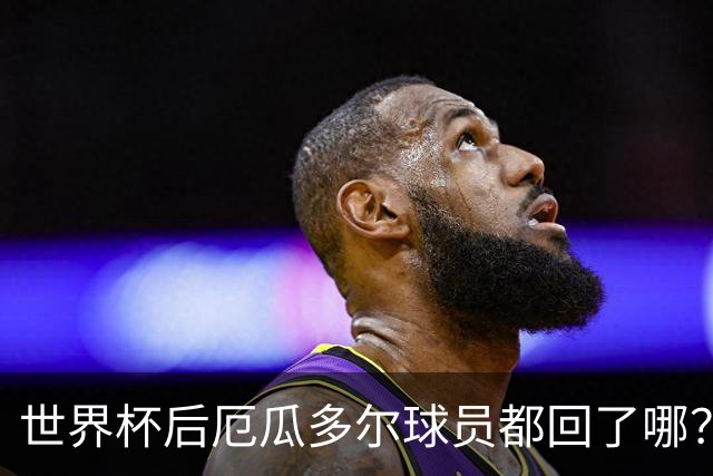 世界杯后厄瓜多尔球员都回了哪？输给墨西哥后他们各归其主